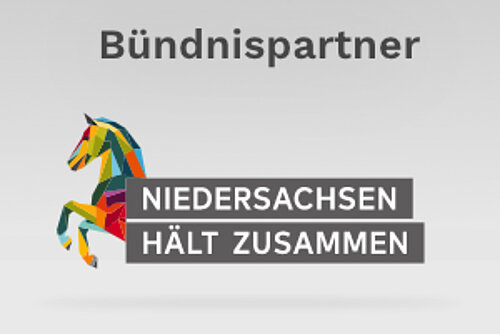 Partner 5